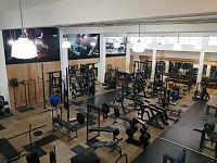 MUSCULACION GIMNASIO PESAS